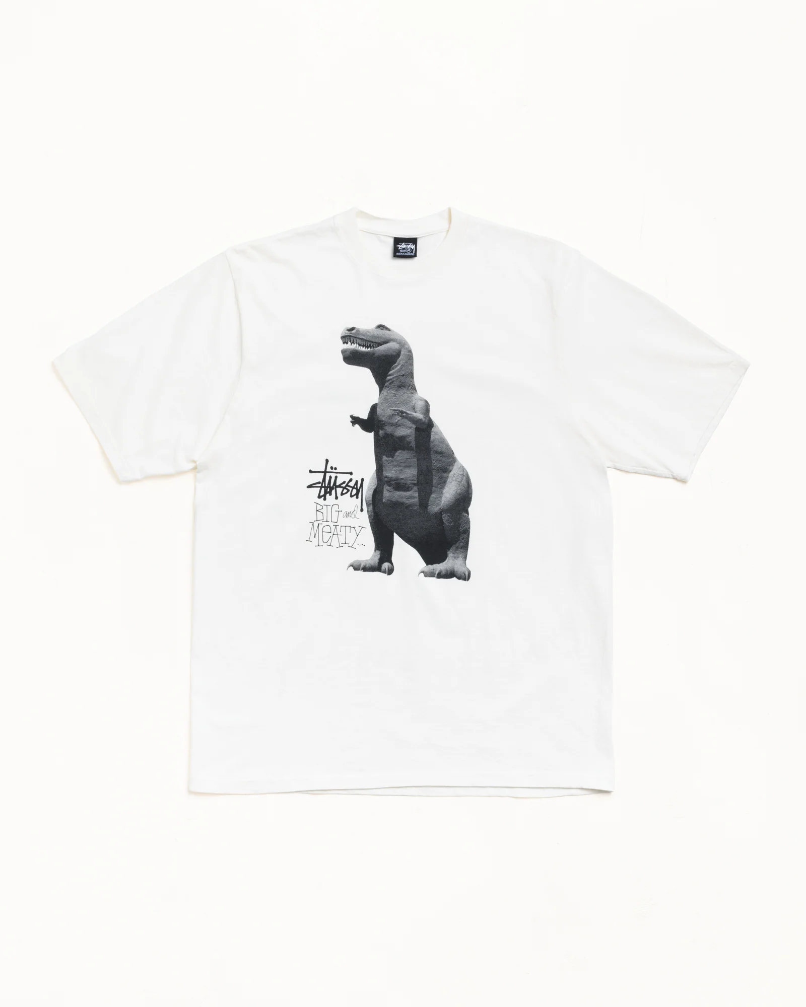 BIG & MEATY TEE PIGMENT DYED